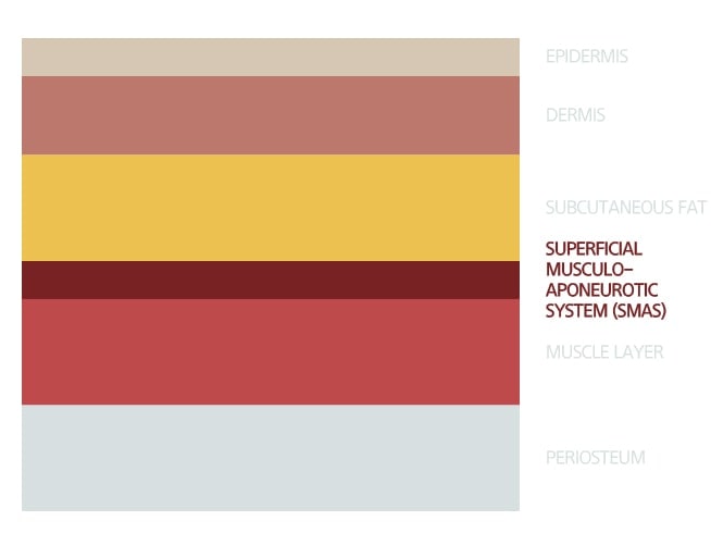 SMAS层